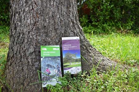 S kolesom po Ilirski Bistrici 7